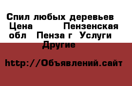 Спил любых деревьев › Цена ­ 500 - Пензенская обл., Пенза г. Услуги » Другие   